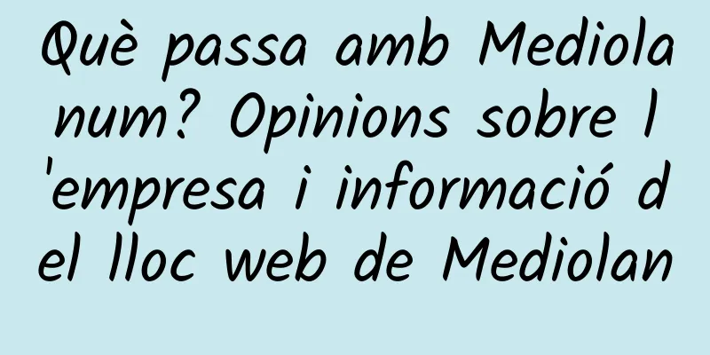 Què passa amb Mediolanum? Opinions sobre l'empresa i informació del lloc web de Mediolan
