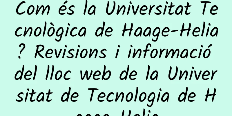 Com és la Universitat Tecnològica de Haage-Helia? Revisions i informació del lloc web de la Universitat de Tecnologia de Haage-Helia