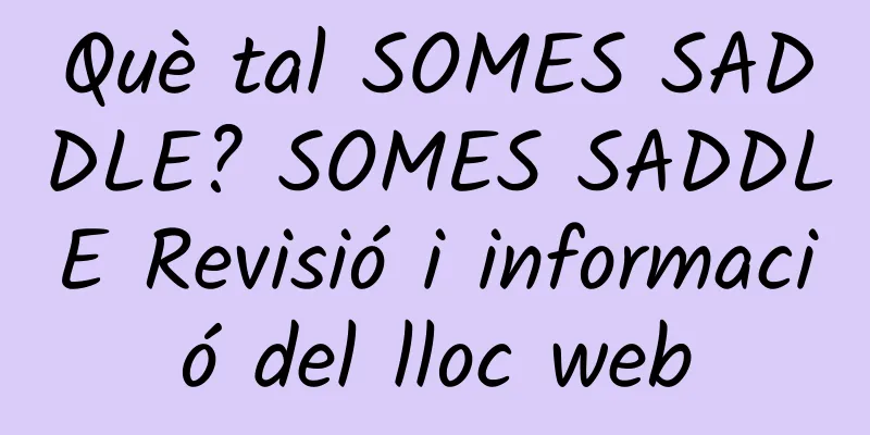 Què tal SOMES SADDLE? SOMES SADDLE Revisió i informació del lloc web