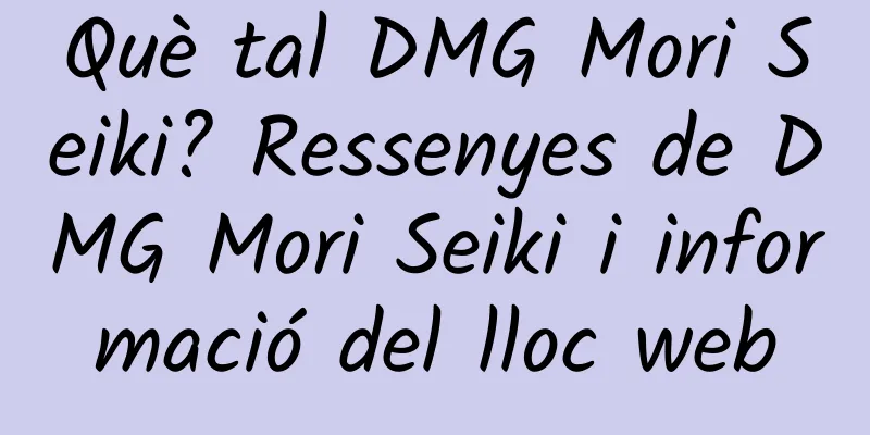 Què tal DMG Mori Seiki? Ressenyes de DMG Mori Seiki i informació del lloc web