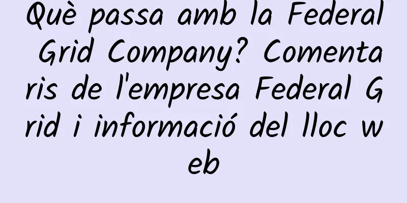 Què passa amb la Federal Grid Company? Comentaris de l'empresa Federal Grid i informació del lloc web