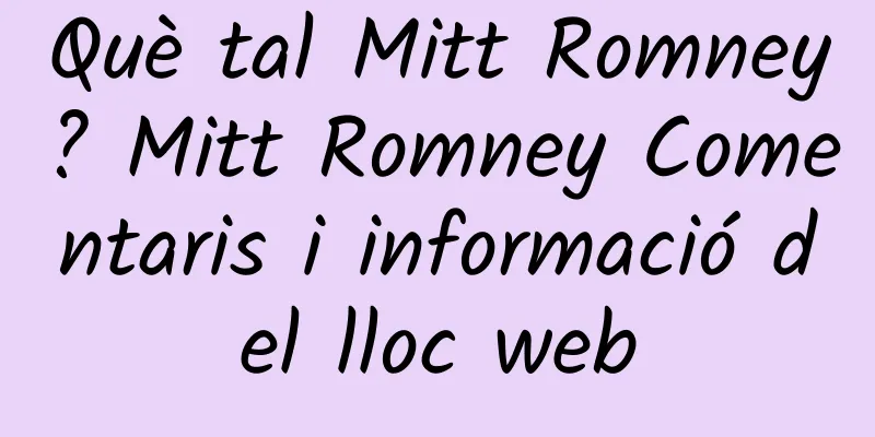 Què tal Mitt Romney? Mitt Romney Comentaris i informació del lloc web