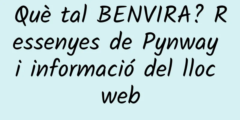 Què tal BENVIRA? Ressenyes de Pynway i informació del lloc web