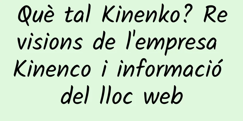 Què tal Kinenko? Revisions de l'empresa Kinenco i informació del lloc web