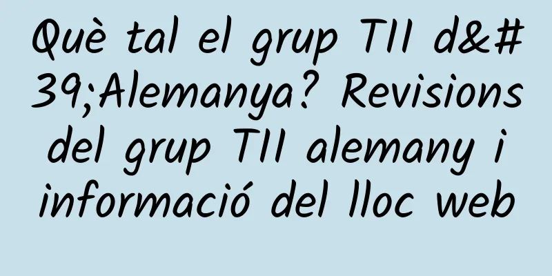 Què tal el grup TII d'Alemanya? Revisions del grup TII alemany i informació del lloc web