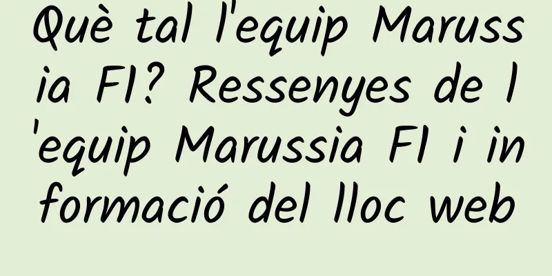 Què tal l'equip Marussia F1? Ressenyes de l'equip Marussia F1 i informació del lloc web
