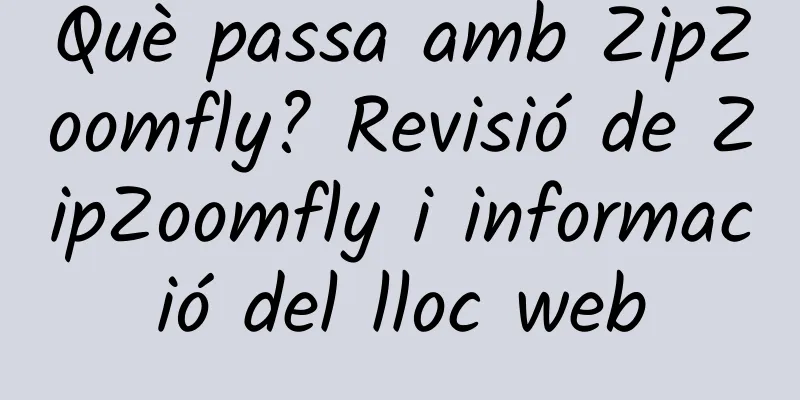 Què passa amb ZipZoomfly? Revisió de ZipZoomfly i informació del lloc web