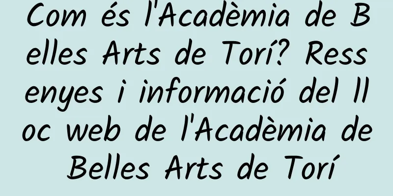 Com és l'Acadèmia de Belles Arts de Torí? Ressenyes i informació del lloc web de l'Acadèmia de Belles Arts de Torí