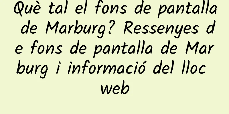 Què tal el fons de pantalla de Marburg? Ressenyes de fons de pantalla de Marburg i informació del lloc web