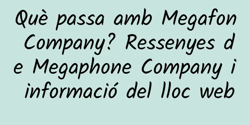 Què passa amb Megafon Company? Ressenyes de Megaphone Company i informació del lloc web