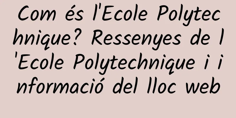 Com és l'Ecole Polytechnique? Ressenyes de l'Ecole Polytechnique i informació del lloc web