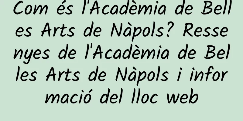 Com és l'Acadèmia de Belles Arts de Nàpols? Ressenyes de l'Acadèmia de Belles Arts de Nàpols i informació del lloc web