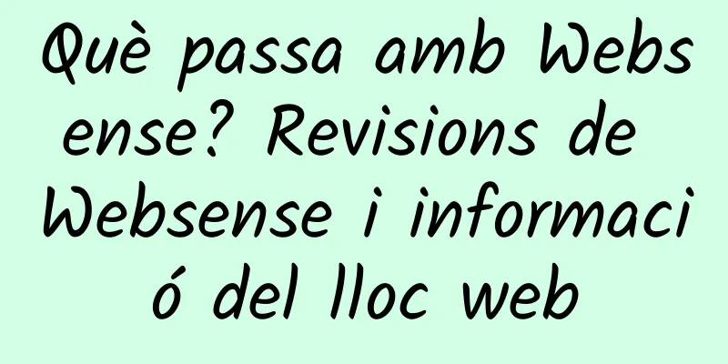 Què passa amb Websense? Revisions de Websense i informació del lloc web