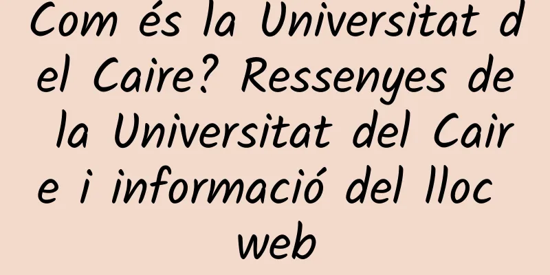 Com és la Universitat del Caire? Ressenyes de la Universitat del Caire i informació del lloc web