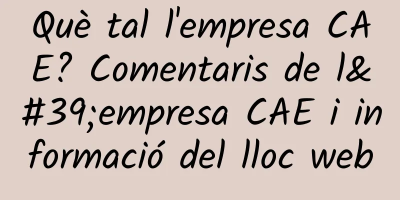 Què tal l'empresa CAE? Comentaris de l'empresa CAE i informació del lloc web