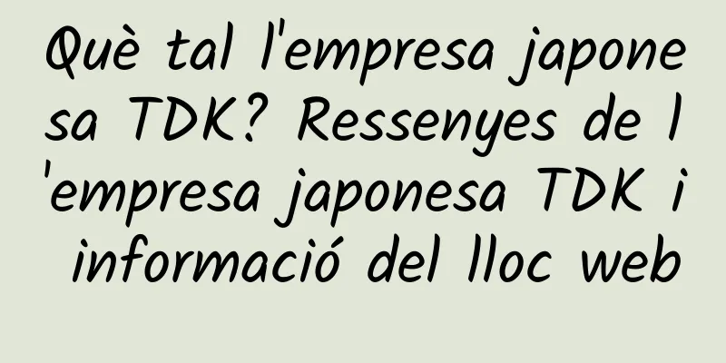 Què tal l'empresa japonesa TDK? Ressenyes de l'empresa japonesa TDK i informació del lloc web
