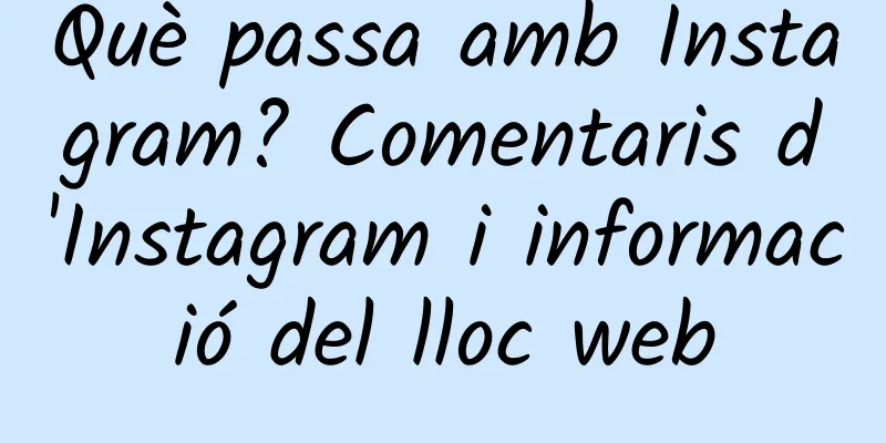 Què passa amb Instagram? Comentaris d'Instagram i informació del lloc web