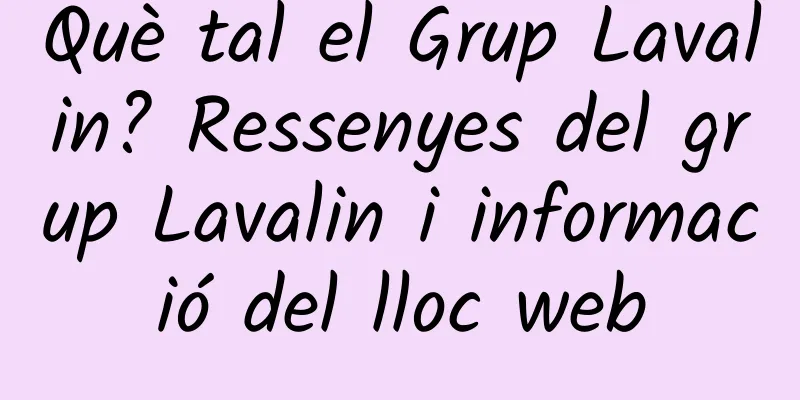 Què tal el Grup Lavalin? Ressenyes del grup Lavalin i informació del lloc web
