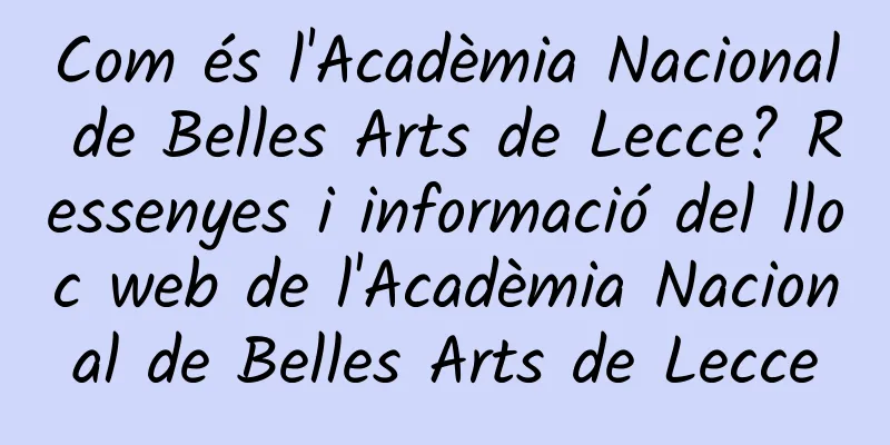 Com és l'Acadèmia Nacional de Belles Arts de Lecce? Ressenyes i informació del lloc web de l'Acadèmia Nacional de Belles Arts de Lecce