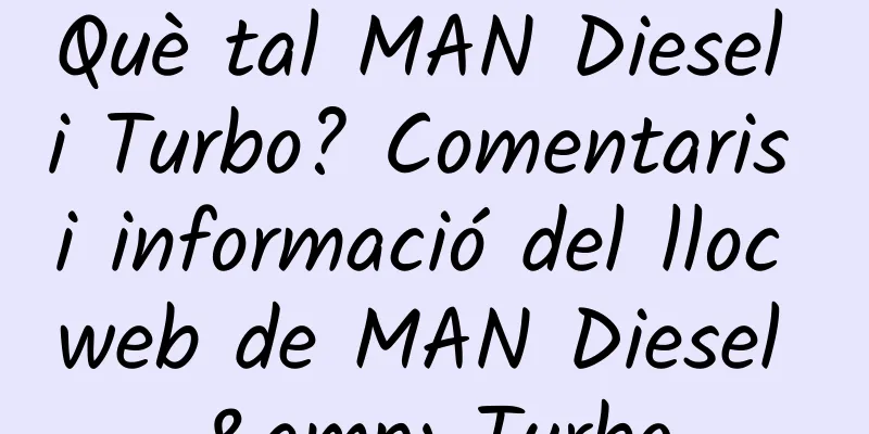 Què tal MAN Diesel i Turbo? Comentaris i informació del lloc web de MAN Diesel & Turbo