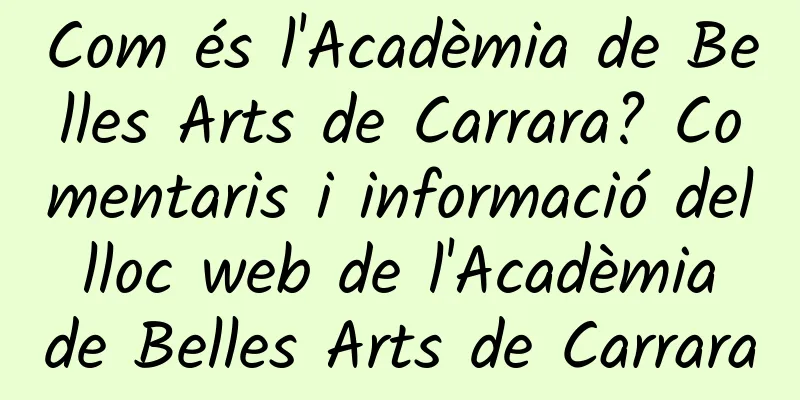 Com és l'Acadèmia de Belles Arts de Carrara? Comentaris i informació del lloc web de l'Acadèmia de Belles Arts de Carrara