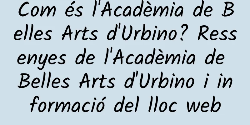 Com és l'Acadèmia de Belles Arts d'Urbino? Ressenyes de l'Acadèmia de Belles Arts d'Urbino i informació del lloc web
