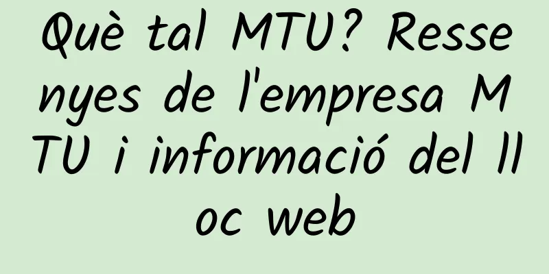 Què tal MTU? Ressenyes de l'empresa MTU i informació del lloc web