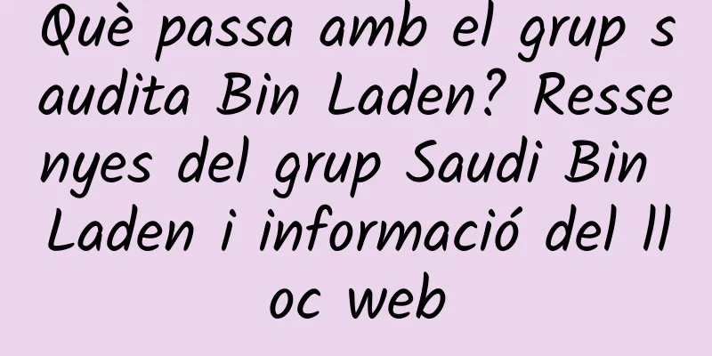 Què passa amb el grup saudita Bin Laden? Ressenyes del grup Saudi Bin Laden i informació del lloc web