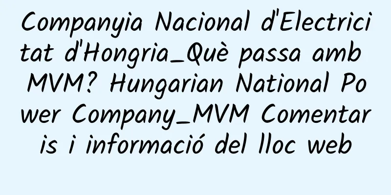 Companyia Nacional d'Electricitat d'Hongria_Què passa amb MVM? Hungarian National Power Company_MVM Comentaris i informació del lloc web