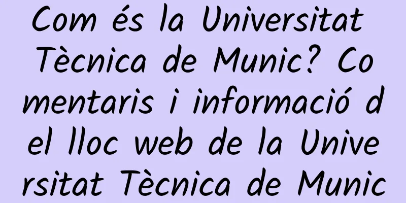 Com és la Universitat Tècnica de Munic? Comentaris i informació del lloc web de la Universitat Tècnica de Munic