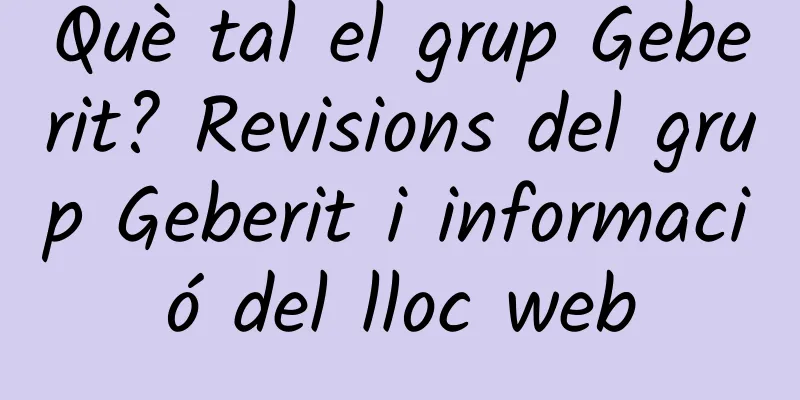Què tal el grup Geberit? Revisions del grup Geberit i informació del lloc web