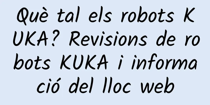 Què tal els robots KUKA? Revisions de robots KUKA i informació del lloc web