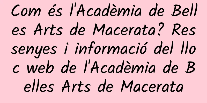 Com és l'Acadèmia de Belles Arts de Macerata? Ressenyes i informació del lloc web de l'Acadèmia de Belles Arts de Macerata