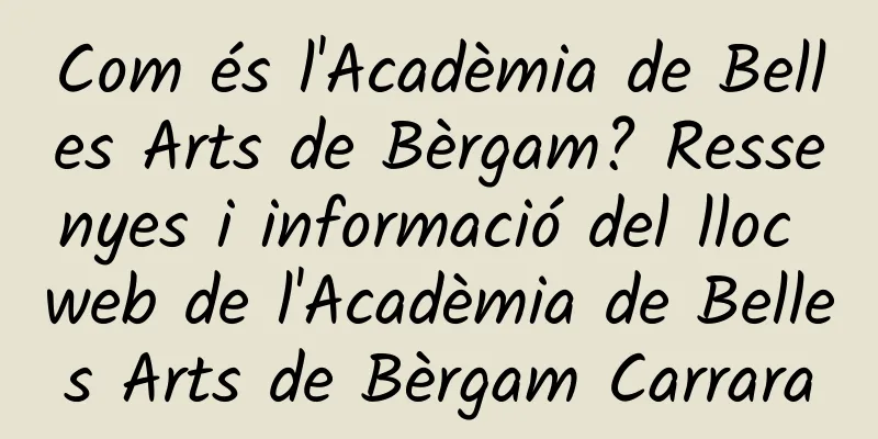 Com és l'Acadèmia de Belles Arts de Bèrgam? Ressenyes i informació del lloc web de l'Acadèmia de Belles Arts de Bèrgam Carrara