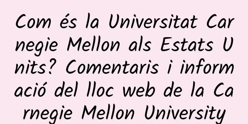 Com és la Universitat Carnegie Mellon als Estats Units? Comentaris i informació del lloc web de la Carnegie Mellon University