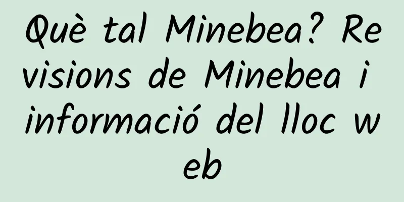 Què tal Minebea? Revisions de Minebea i informació del lloc web