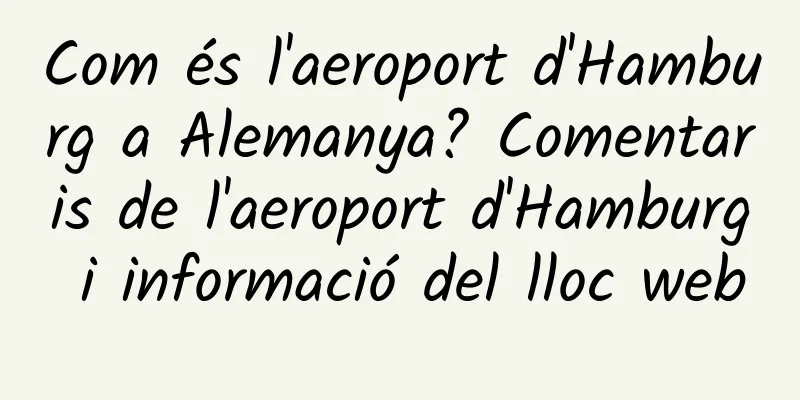 Com és l'aeroport d'Hamburg a Alemanya? Comentaris de l'aeroport d'Hamburg i informació del lloc web
