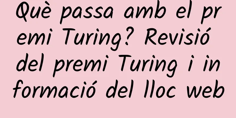 Què passa amb el premi Turing? Revisió del premi Turing i informació del lloc web