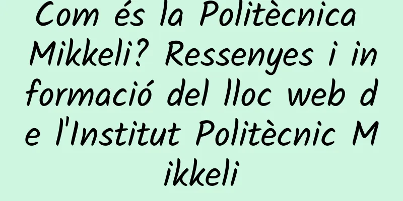 Com és la Politècnica Mikkeli? Ressenyes i informació del lloc web de l'Institut Politècnic Mikkeli