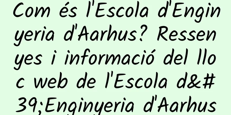 Com és l'Escola d'Enginyeria d'Aarhus? Ressenyes i informació del lloc web de l'Escola d'Enginyeria d'Aarhus