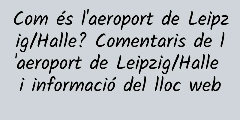 Com és l'aeroport de Leipzig/Halle? Comentaris de l'aeroport de Leipzig/Halle i informació del lloc web