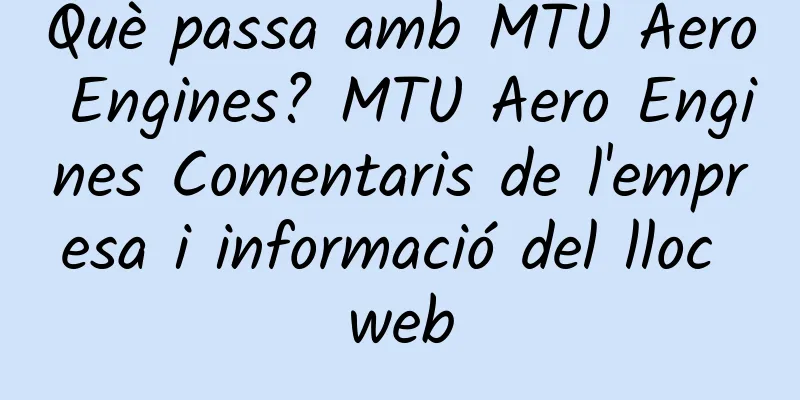 Què passa amb MTU Aero Engines? MTU Aero Engines Comentaris de l'empresa i informació del lloc web