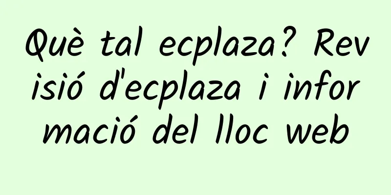 Què tal ecplaza? Revisió d'ecplaza i informació del lloc web