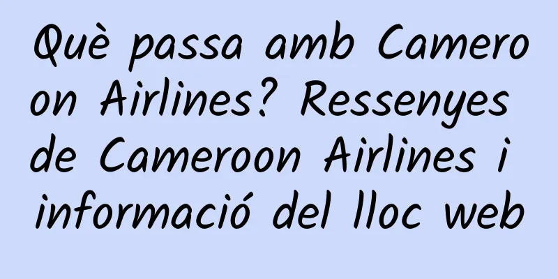 Què passa amb Cameroon Airlines? Ressenyes de Cameroon Airlines i informació del lloc web