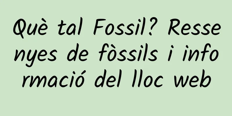 Què tal Fossil? Ressenyes de fòssils i informació del lloc web