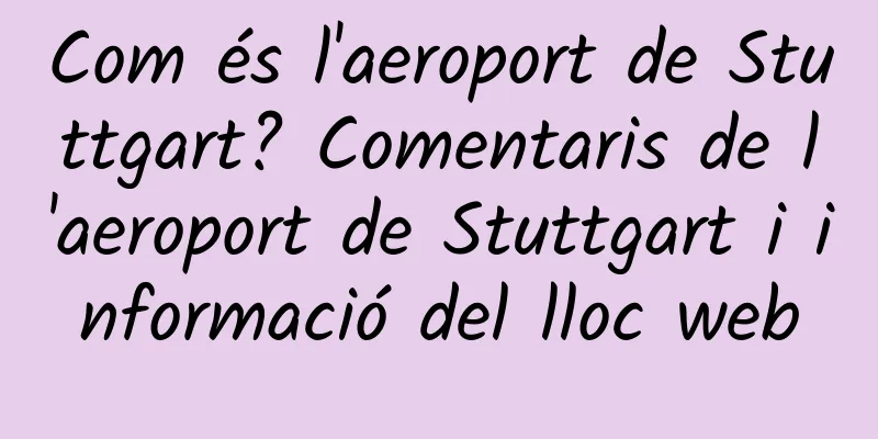 Com és l'aeroport de Stuttgart? Comentaris de l'aeroport de Stuttgart i informació del lloc web