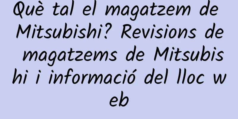Què tal el magatzem de Mitsubishi? Revisions de magatzems de Mitsubishi i informació del lloc web