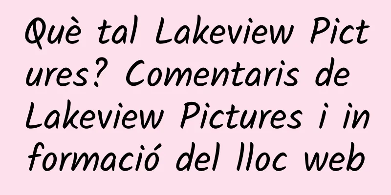 Què tal Lakeview Pictures? Comentaris de Lakeview Pictures i informació del lloc web