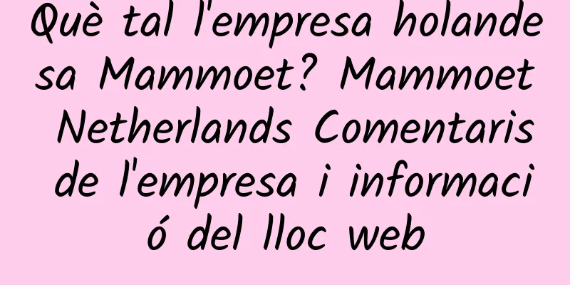 Què tal l'empresa holandesa Mammoet? Mammoet Netherlands Comentaris de l'empresa i informació del lloc web