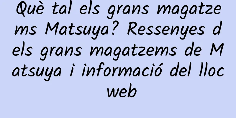 Què tal els grans magatzems Matsuya? Ressenyes dels grans magatzems de Matsuya i informació del lloc web